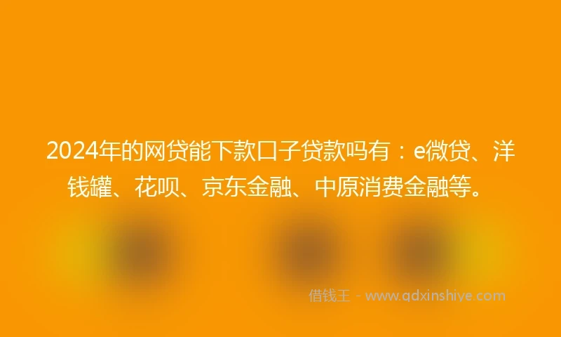 2024年的网贷能下款口子贷款吗有：e微贷、洋钱罐、花呗、京东金融、中原消费金融等。