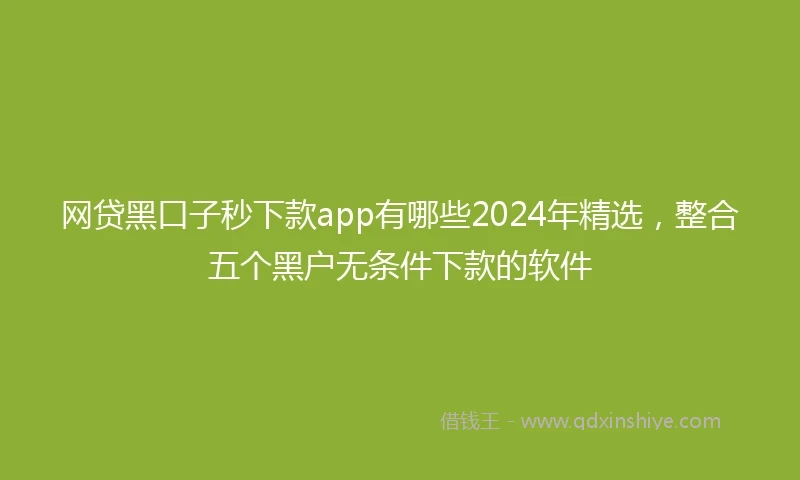 网贷黑口子秒下款app有哪些2024年精选,整合五个黑户无条件下款的软件