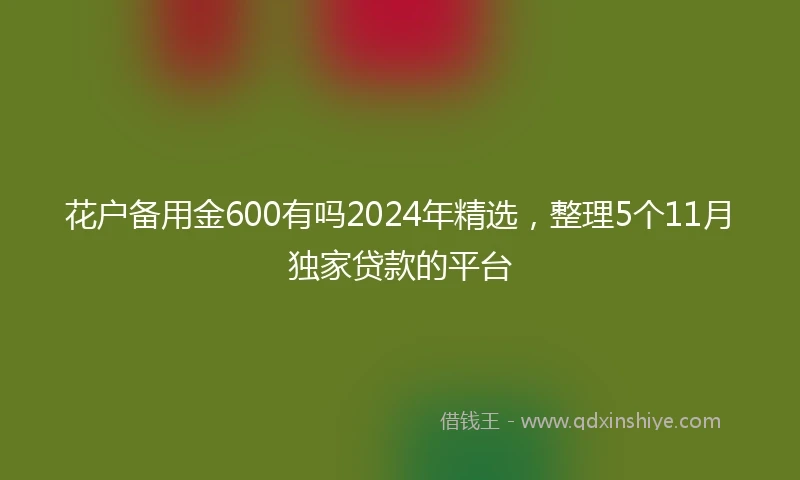 花户备用金600有吗2024年精选,整理5个11月独家贷款的平台