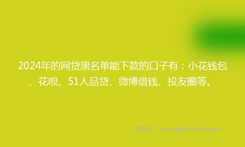 2024年的网贷黑名单能下款的口子有：小花钱包、花呗、51人品贷、微博借钱、投友圈等。