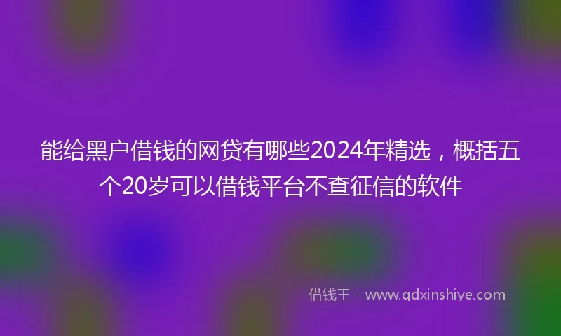 能给黑户借钱的网贷有哪些2024年精选，概括五个20岁可以借钱平台不查征信的软件