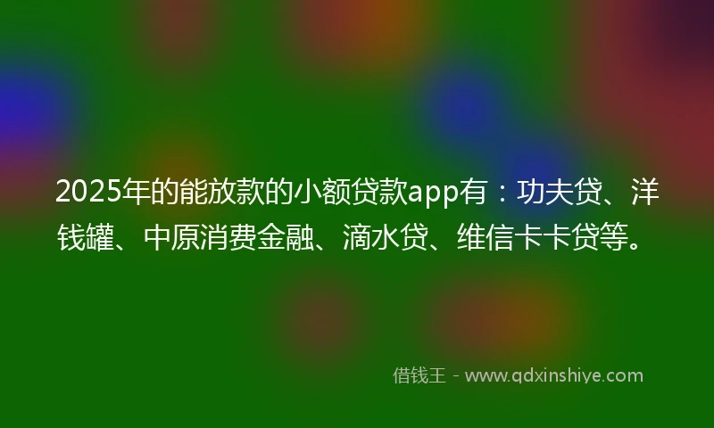 2025年的能放款的小额贷款app有：功夫贷、洋钱罐、中原消费金融、滴水贷、维信卡卡贷等。