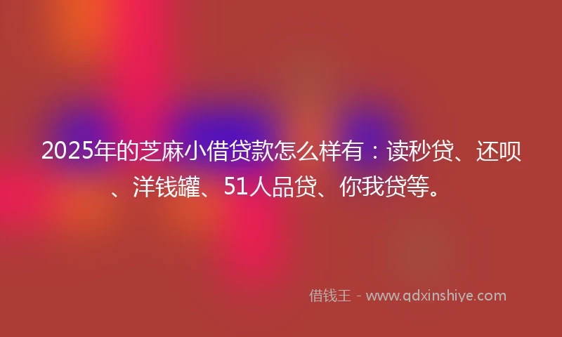2025年的芝麻小借贷款怎么样有：读秒贷、还呗、洋钱罐、51人品贷、你我贷等。