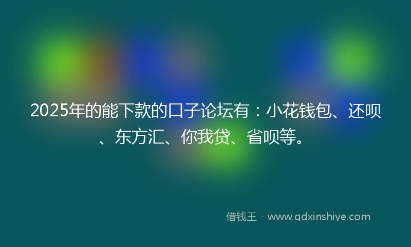 2025年的能下款的口子论坛有：小花钱包、还呗、东方汇、你我贷、省呗等。