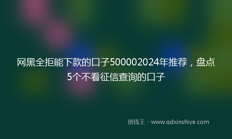 网黑全拒能下款的口子500002024年推荐，盘点5个不看征信查询的口子