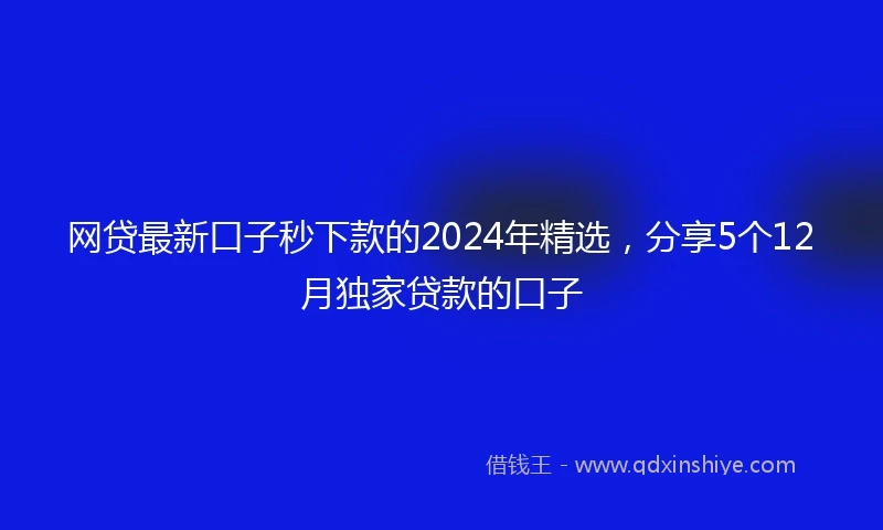 网贷最新口子秒下款的2024年精选，分享5个12月独家贷款的口子
