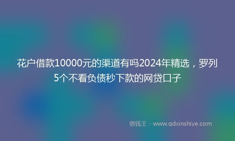 花户借款10000元的渠道有吗2024年精选，罗列5个不看负债秒下款的网贷口子