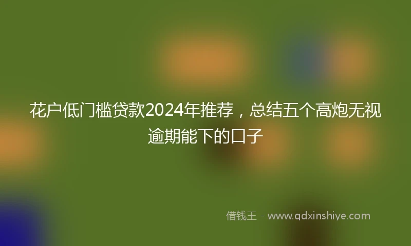 花户低门槛贷款2024年推荐，总结五个高炮无视逾期能下的口子