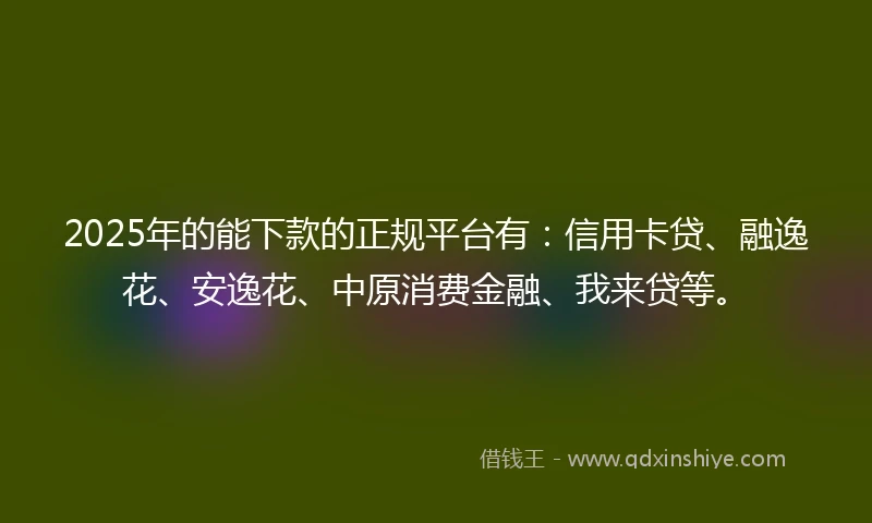2025年的能下款的正规平台有：信用卡贷、融逸花、安逸花、中原消费金融、我来贷等。