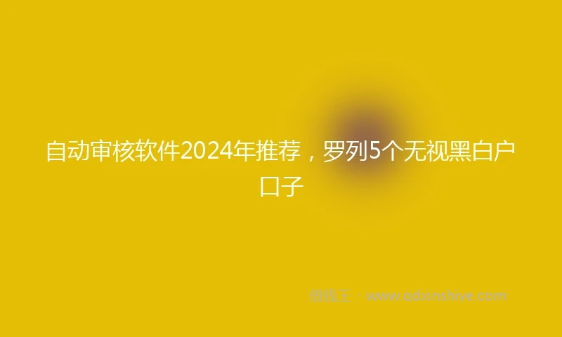 自动审核软件2024年推荐，罗列5个无视黑白户口子