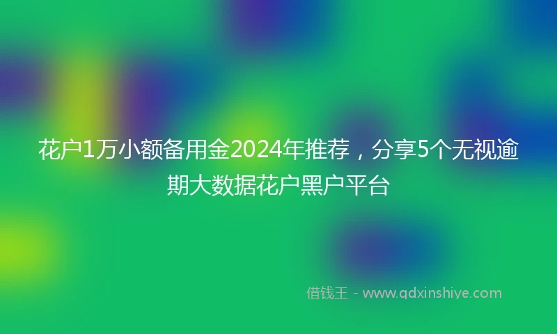 花户1万小额备用金2024年推荐，分享5个无视逾期大数据花户黑户平台