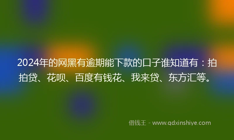 2024年的网黑有逾期能下款的口子谁知道有：拍拍贷、花呗、百度有钱花、我来贷、东方汇等。