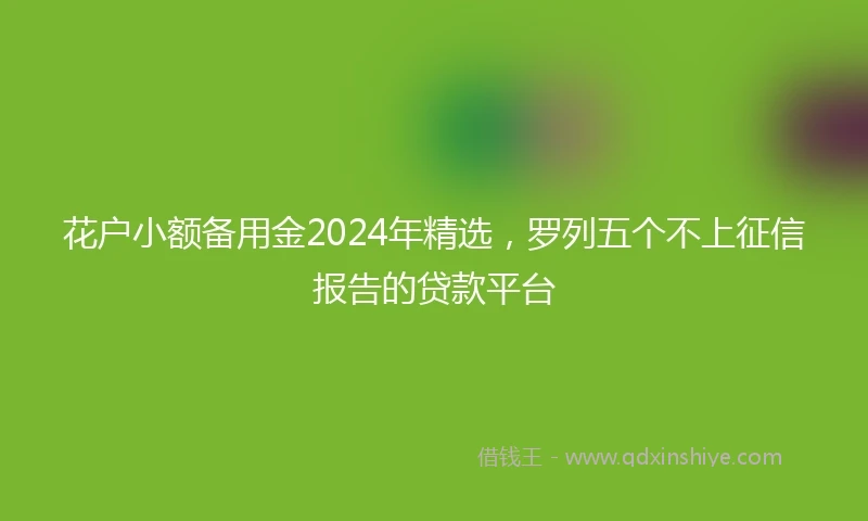 花户小额备用金2024年精选，罗列五个不上征信报告的贷款平台
