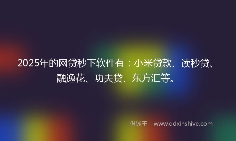 2025年的网贷秒下软件有：小米贷款、读秒贷、融逸花、功夫贷、东方汇等。