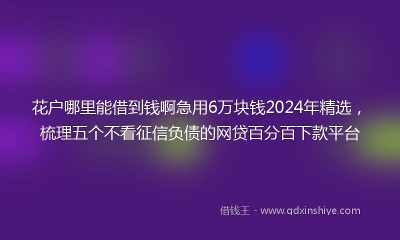 花户哪里能借到钱啊急用6万块钱2024年精选，梳理五个不看征信负债的网贷百分百下款平台