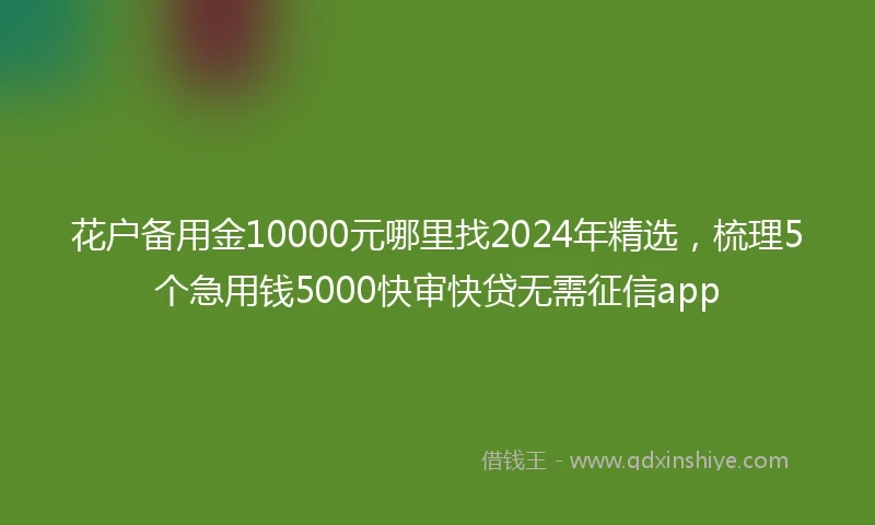 花户备用金10000元哪里找2024年精选，梳理5个急用钱5000快审快贷无需征信app