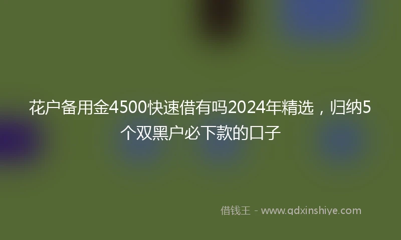 花户备用金4500快速借有吗2024年精选，归纳5个双黑户必下款的口子