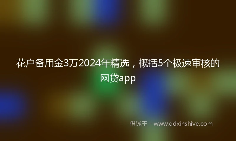 花户备用金3万2024年精选，概括5个极速审核的网贷app
