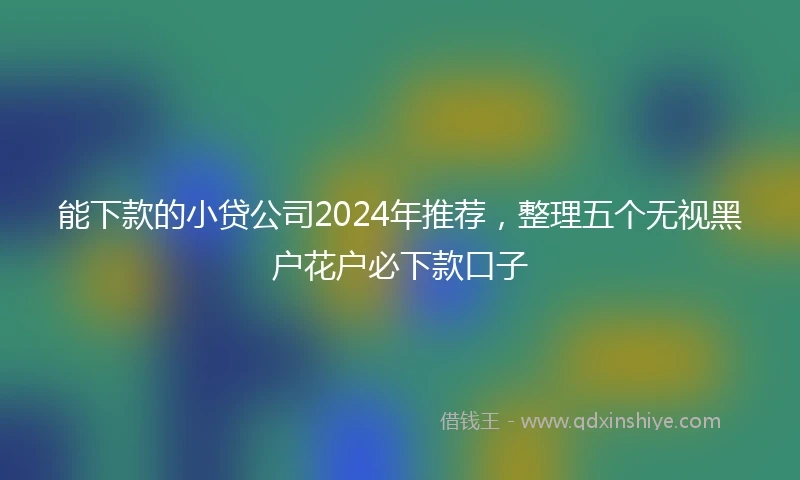 能下款的小贷公司2024年推荐，整理五个无视黑户花户必下款口子
