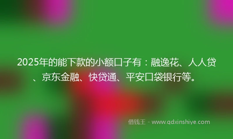 2025年的能下款的小额口子有：融逸花、人人贷、京东金融、快贷通、平安口袋银行等。