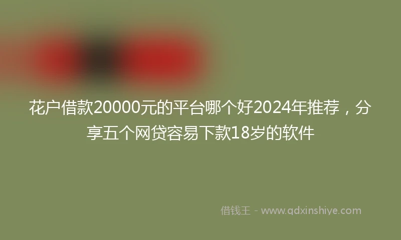 花户借款20000元的平台哪个好2024年推荐，分享五个网贷容易下款18岁的软件