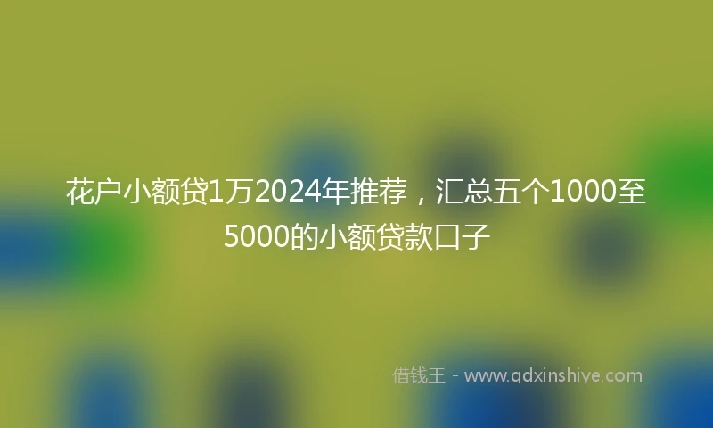 花户小额贷1万2024年推荐,汇总五个1000至5000的小额贷款口子