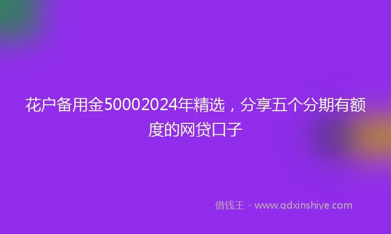 花户备用金50002024年精选，分享五个分期有额度的网贷口子