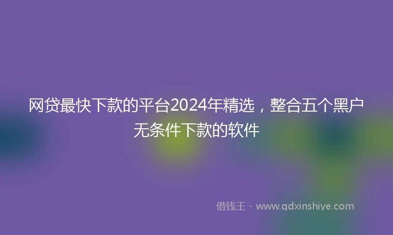 网贷最快下款的平台2024年精选，整合五个黑户无条件下款的软件