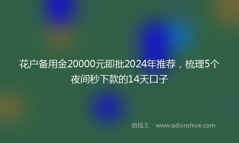 花户备用金20000元即批2024年推荐，梳理5个夜间秒下款的14天口子