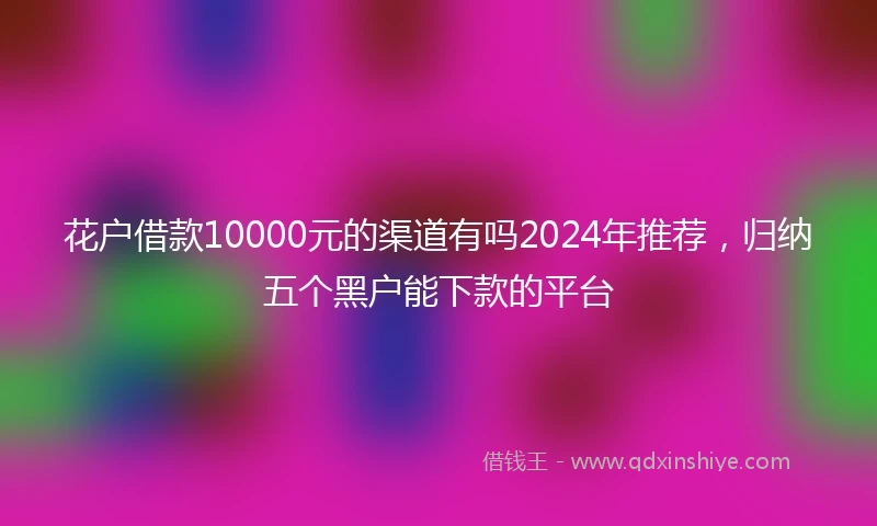 花户借款10000元的渠道有吗2024年推荐，归纳五个黑户能下款的平台