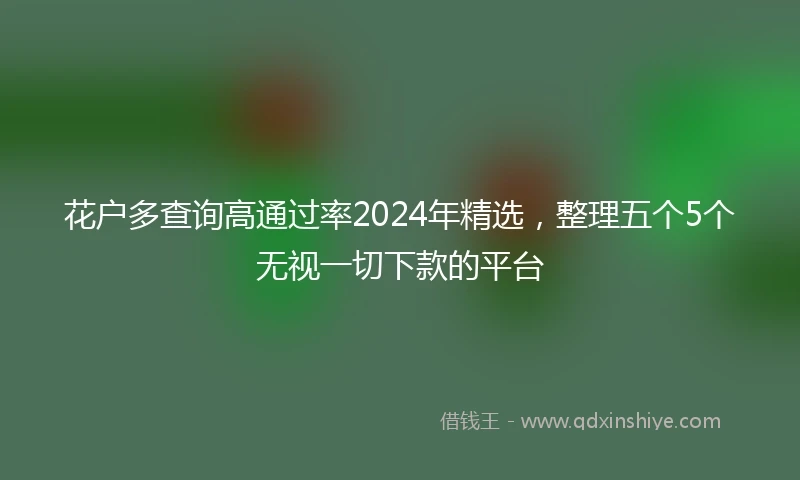 花户多查询高通过率2024年精选,整理五个5个无视一切下款的平台