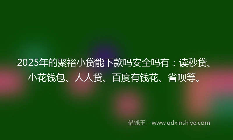 2025年的聚裕小贷能下款吗安全吗有：读秒贷、小花钱包、人人贷、百度有钱花、省呗等。