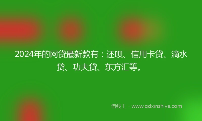 2024年的网贷最新款有：还呗、信用卡贷、滴水贷、功夫贷、东方汇等。