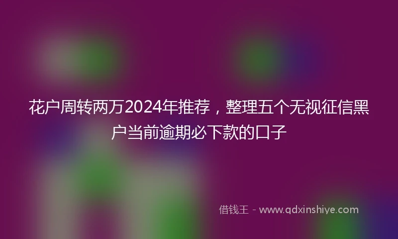 花户周转两万2024年推荐，整理五个无视征信黑户当前逾期必下款的口子