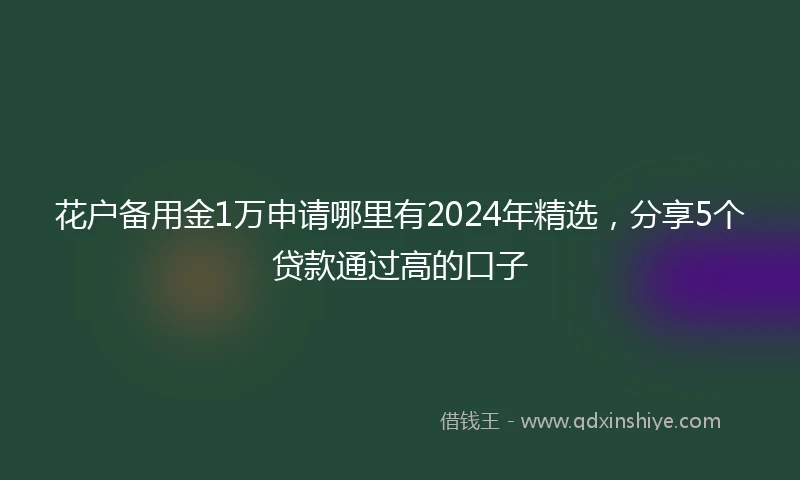 花户备用金1万申请哪里有2024年精选，分享5个贷款通过高的口子