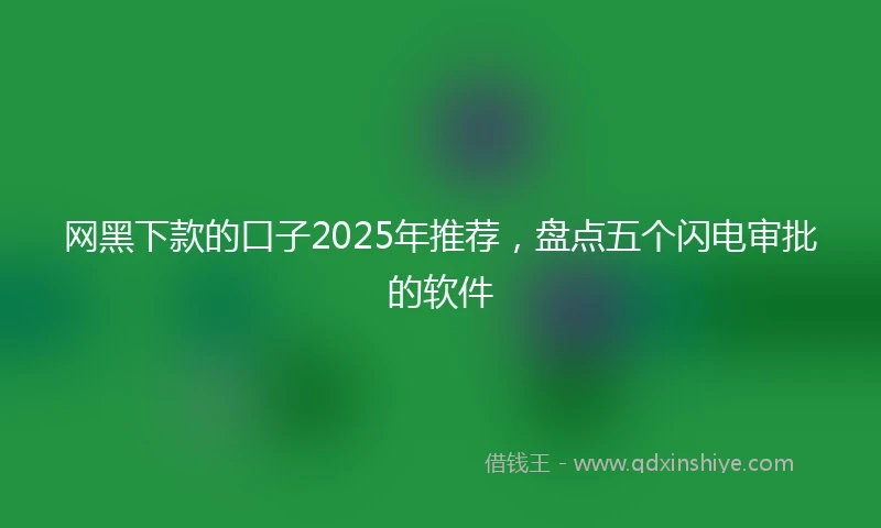 网黑下款的口子2025年推荐，盘点五个闪电审批的软件