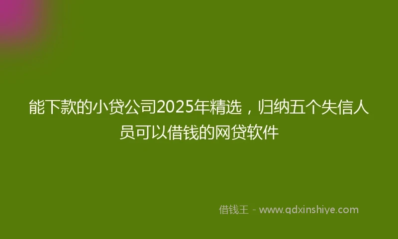 能下款的小贷公司2025年精选，归纳五个失信人员可以借钱的网贷软件