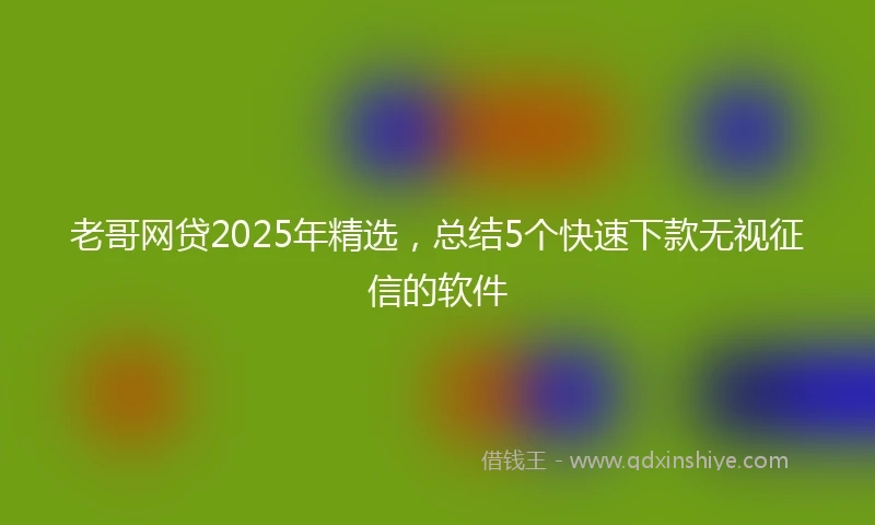 老哥网贷2025年精选，总结5个快速下款无视征信的软件