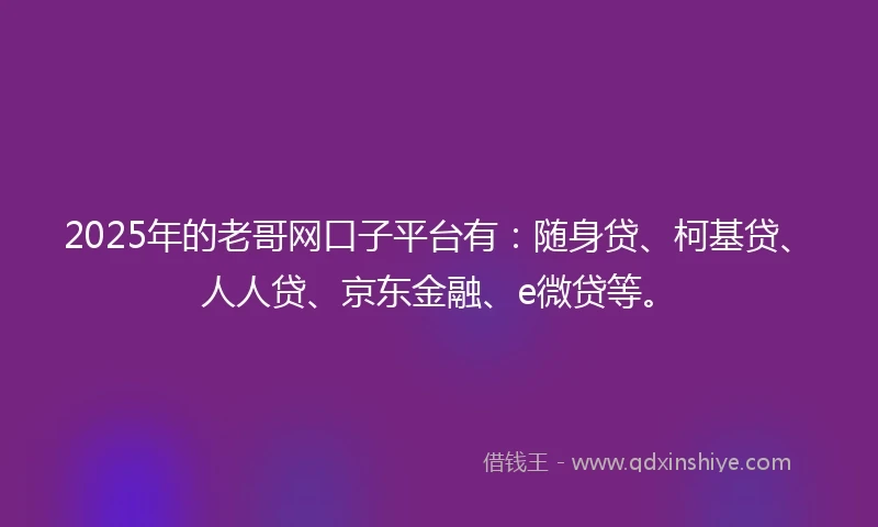 2025年的老哥网口子平台有：随身贷、柯基贷、人人贷、京东金融、e微贷等。