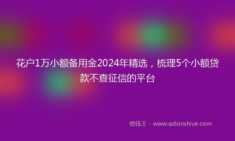花户1万小额备用金2024年精选，梳理5个小额贷款不查征信的平台