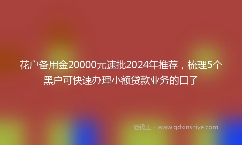 花户备用金20000元速批2024年推荐，梳理5个黑户可快速办理小额贷款业务的口子