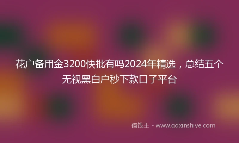 花户备用金3200快批有吗2024年精选，总结五个无视黑白户秒下款口子平台