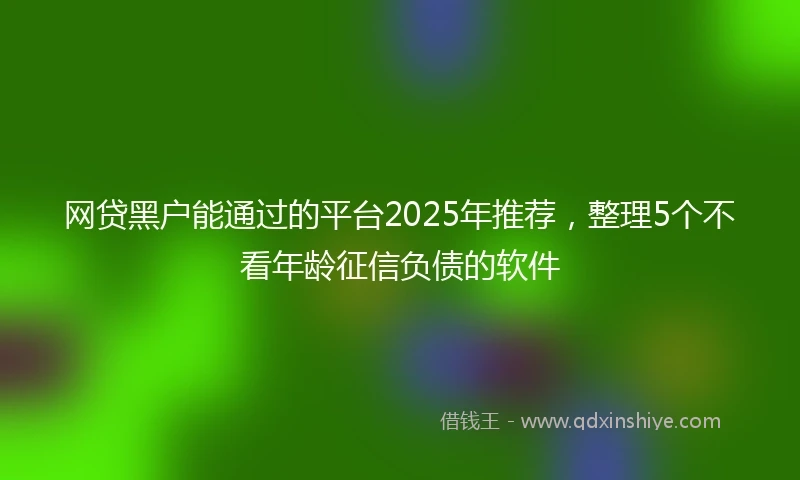 网贷黑户能通过的平台2025年推荐，整理5个不看年龄征信负债的软件