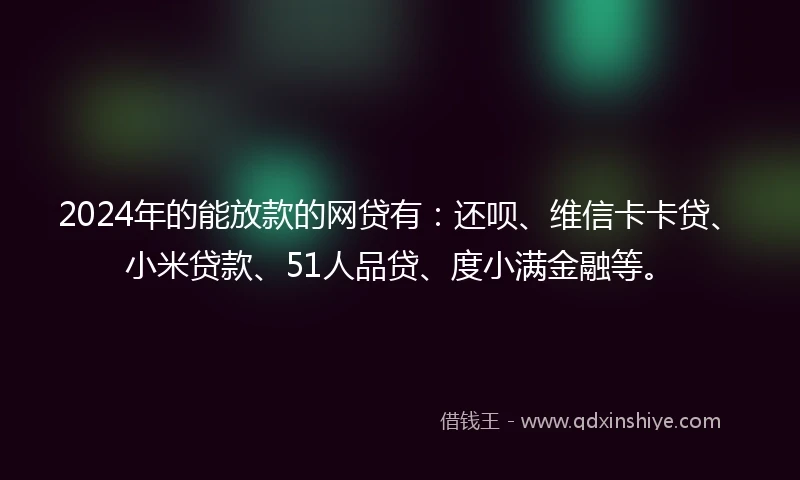 2024年的能放款的网贷有：还呗、维信卡卡贷、小米贷款、51人品贷、度小满金融等。