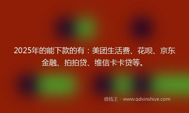 2025年的能下款的有：美团生活费、花呗、京东金融、拍拍贷、维信卡卡贷等。