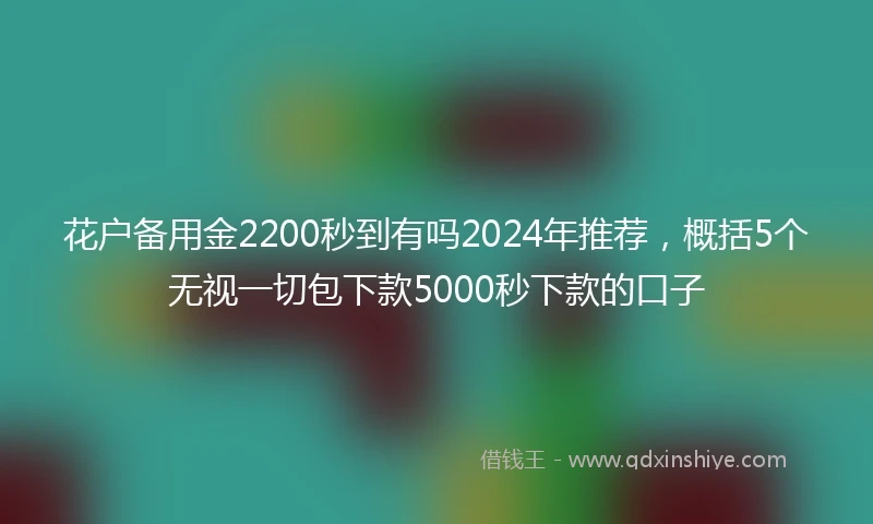花户备用金2200秒到有吗2024年推荐，概括5个无视一切包下款5000秒下款的口子