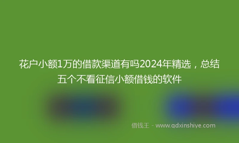 花户小额1万的借款渠道有吗2024年精选，总结五个不看征信小额借钱的软件