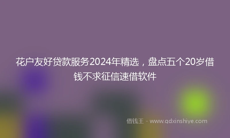 花户友好贷款服务2024年精选，盘点五个20岁借钱不求征信速借软件