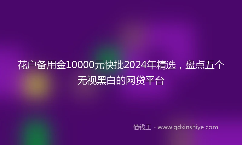 花户备用金10000元快批2024年精选，盘点五个无视黑白的网贷平台