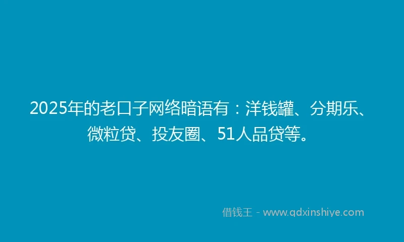 2025年的老口子网络暗语有：洋钱罐、分期乐、微粒贷、投友圈、51人品贷等。
